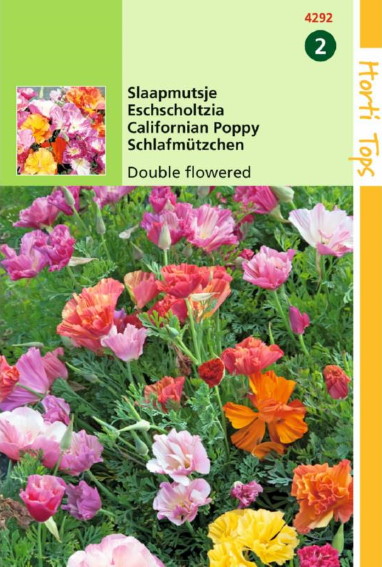 California poppy double mix (Eschscholzia) 475 seeds HT